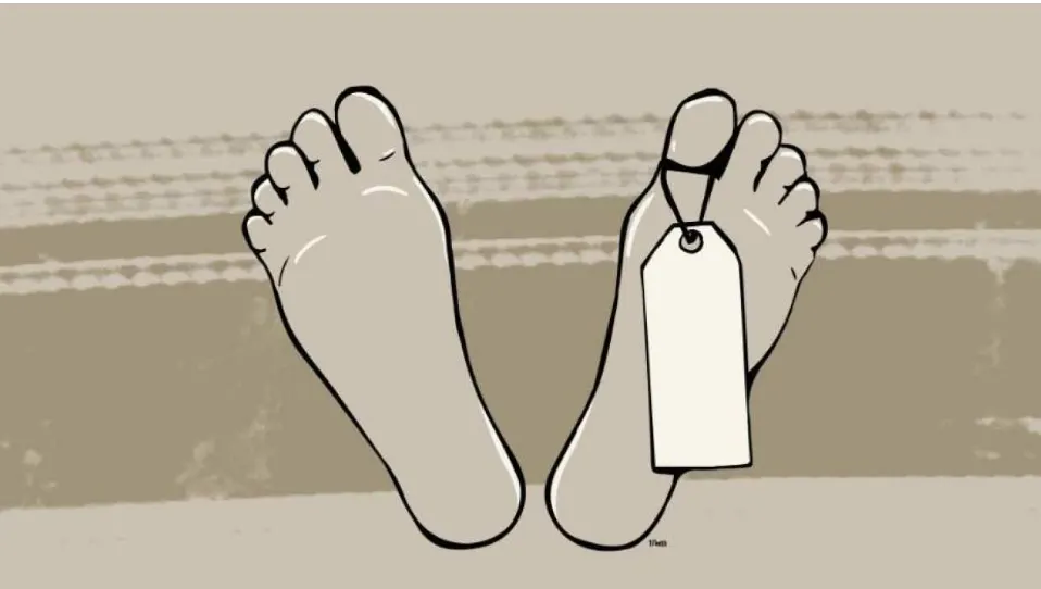 ক্যাম্পাস নিউজ